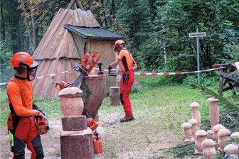 Erzgebirgisches zum Familien- und Waldfest - Beim Waldschulfest mit im Programm ist das Kettensägen-Schnitzen.
