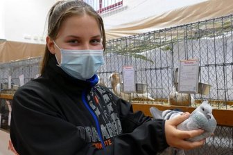 Erzgebirgs-Taubenschau hält Rassegeflügelzuchtverein zusammen - Obwohl Alexa Loos (12) zu den jüngsten Teilnehmern gehörte, wurde ihre Luzerner Taube als "Vorzüglich" eingestuft.