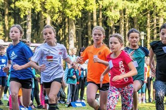 Erzgebirgsfinale im Crosslauf lockt 311 Schüler an den Start -