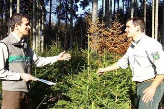 Borstendorfer Revierleiter Mischa Schubert im Röthenbacher Wald 