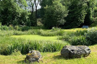 Es ist dringend: Bösenbrunn greift Löschwasserteiche an - Der Teich an der Triebler Straße in Bösenbrunn ist einer von drei, welche die Gemeinde schlämmen lässt.
