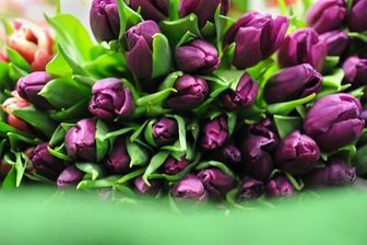 Es muss nicht immer die Rose sein - Ideen zum Valentinstag -