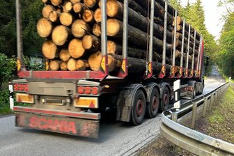 Es rollt wieder laut und heftig im Erzgebirge: Holztransporte nerven Anwohner bei Tag und Nacht - Holztransporte sind groß und mächtig und rollen derzeit wieder Tag und Nacht auf der S 271 durch Tellerhäuser in Richtung Grenze.