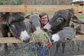 Eselhof Blumenwiese bei Werdau: Wo nicht nur an Weihnachten tierischer Trost wartet - Seit dem Sommer leben Sandy Zayenes Esel Adrian, Emilio, Gerry und Enno auf dem Eselhof Blumenwiese in Niederalbertsdorf. Alle vier lieben Heu – und Besucher.