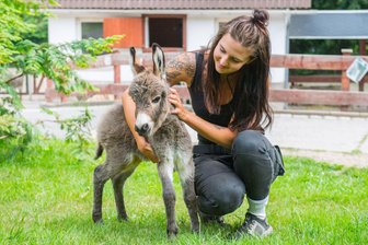Eselnachwuchs im Zoo der Minis - Bundesfreiwilligendienstleistende Josephine Nöbel mit dem Eselfohlen.
