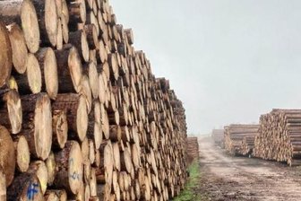 EU-Mittel: Verein begibt sich auf den Holzweg - Der Rohstoff Holz ist im Westerzgebirge ein Schwerpunktthema in der Leader-Förderung zur Stärkung des ländlichen Raums. 