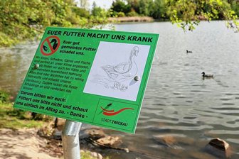 "Euer Futter macht uns krank": Was das aufgestellte Schild am Zwickauer Schwanenteich bezwecken soll - Wie das Schild am Schwanenteich zeigt, hat die Stadt rasch auf den Hinweis der besorgten Leserin reagiert.