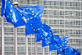 Europawahl: Ergebnisse und Reaktionen - 