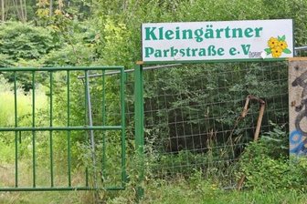 Ex-Gärten gehören jetzt zum Schwanenteichpark - Die ehemalige Gartenanlage verwildert zusehends. In den nächsten Jahren soll sie endgültig beräumt und zum Grünstreifen werden. 