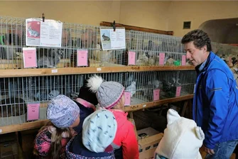 Fachsimpeln, feilschen und feiern: Statt Rosenmontagsumzug trifft sich Mühltroff zum Taubenmarkt - Maik Lorenz vom Mühltroffer Verein führte die Kindergartenkinder aus dem Ort durch den Markt, zeigte die Tauben, Kaninchen und Ziervögel.