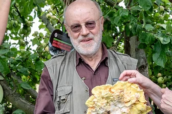 Färben mit Pilzen - wie geht das? Experte Wolfgang Friese aus Flöha zeigt es im Lehngericht Augustusburg - Fachbuchautor und Pilzexperte Wolfgang Friese weist im Lehngericht Augustusburg in die Wunderwelt der Pilzfarben ein.