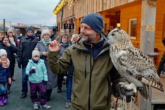 Falkner bringt mit Eulen nicht nur Kinderaugen zum Leuchten - Falkner Hans-Peter Herrmann erzählte Geschichten, die sich um die Jäger der Nacht ranken. Star war der sibirischen Uhu "Olga".