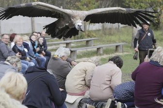 Falkner: Plauen als Standort auf Kippe -