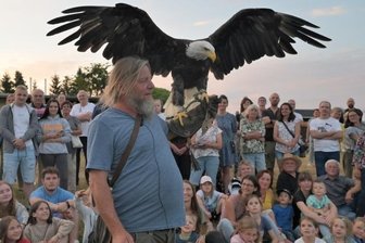 Falknershow als Höhepunkt zum Nadlerhausfest - Bei seiner Vorführung hat Falkner Hans-Peter Schaaf auch Weißkopfseeadler vorgestellt.