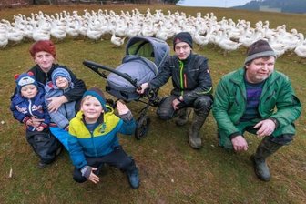 Familie Mey und ihre erzgebirgischen Weihnachtsgänse - Familie Mey auf der Gänseweide. Ihre Kunden kommen aus dem ganzen Erzgebirge und zum Teil sogar aus Dresden.