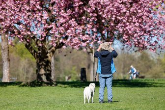 Familien, Klang und Kultur: Hier geht Chemnitz am Wochenende aus - Am Samstag findet das „Bark Date“ zum vierten Mal auf der Wiese im Küchwaldpark statt.