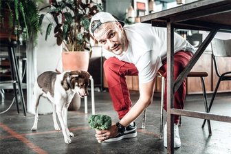 Familienpop in Freiberg: Das kommt raus, wenn man Kindermusik mit Erwachsenenpop mischt - Mit seinem Kinderkonzert sorgt Anton für Spaß bei den Sommernächten.