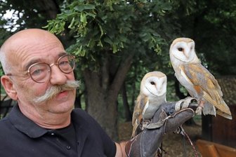 Familientag im Tierpark Freiberg - Die zwei jüngsten Bewohner des Freiberger Tierparks, zwei Schleiereulen, werden mit Peter Heinrich einen Auftritt haben.