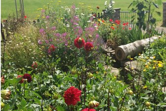 Familienzentrum Plauen lädt zu Gartenrunden ein - Von den Gärten verzaubern lassen und ins Gespräch kommen können die Teilnehmer an den Gartenrunden.