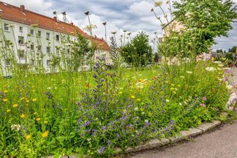 Farbtupfer als Blickfang am Straßenrand - 