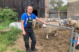 Fassungslosigkeit im Landkreis Zwickau: Schafe brutal getötet und verletzt - Landwirt Kevin Weigt vor seiner Herde. Durch die Tür hinten drang der Täter ein.
