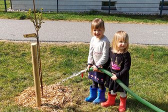 Fast 50 neue Obstbäume an Radweg im Erzgebirge: Was ein Dorf-Projekt bewirken will - Adele und Lilith Martin (r.) packten beim ersten Pflege-Einsatz für neue Obstbäume mit an.
