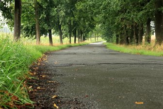 Fast eine Viertel Million Euro für 500 Meter Straße: Wie passt das zusammen? - Der außerorts gelegene Teil der Mechelgrüner Straße bekommt eine Oberflächenbehandlung.