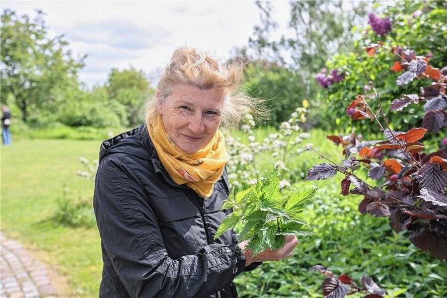 Fast vergessenes Wissen: Sonja Schulze öffnet den Blick für den Reichtum wilder Pflanzen - Sonja Schulze mit Brennnesseln, die schmackhaft sind. Doch sie warnt auch vor zu vielem Verzehr. 