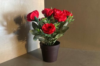 Fasten-Tagebuch: Heute habe ich leider keine Rose für mich - Ich kann nicht warten, bis die ersten Rosen welken.