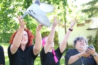 FDP lässt 25 Tauben als Zeichen gegen Demo fliegen - Die FDP ließ in Zwönitz mehrere Tauben aufsteigen.
