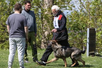 Feines Näschen bringt den Sieg - Helmut Raiser mit seiner neunjährigen Hündin Raisers Inlay bei dem Wettbewerb in Lugau. 