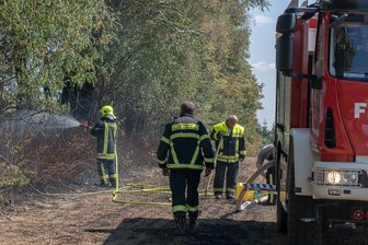 Feld geht in Flammen auf - 