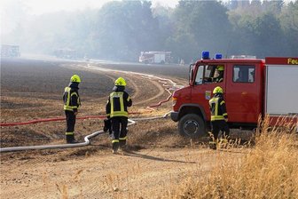 Feld mit 15 Hektar Braugerste bei Bösenbrunn abgebrannt - Ein Teil des abgebrannten Feldes nahe der Hauptstraße Ottengrün. Von dort hatte der Wind die Flammen in ein angrenzendes Waldstück getrieben, so dass es ebenfalls in Brand gesetzt wurde. 