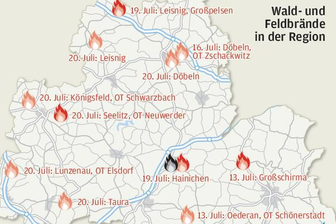 Feldbrände halten Feuerwehren auf Trab - 