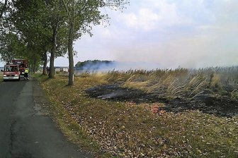 Feldbrand bei Frankenberg -