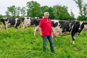 Felder gegen Fabriken - Stollberg plant Gewerbegebiet statt Kuhweide - Dort, wo Jörg Grimms Kühe weiden, plant die Nachbargemeinde Stollberg ein Gewerbegebiet. 