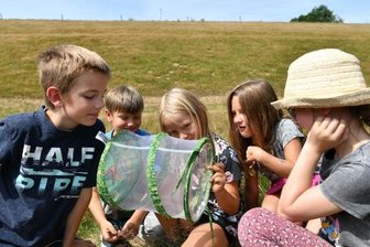 Ferienkinder als Naturforscher - 