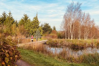 Ferienkinder aufgepasst: Lust auf einen spontanen Besuch im Waldlabor in Tharandt? - Eine abwechslungsreiche Landschaft mit Teichen, Sträuchern und dichtem Wald gilt es im Forstbotanischen Garten in Tharandt zu erkunden.