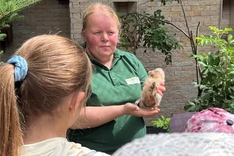 Ferienkinder besuchen Tierpark Hirschfeld: Was ist das denn für ein Kauz? - Tierpflegerin Katrin Seibt zeigt den Ferienkindern aus dem Schullandheim Limbach einen jungen Waldkauz.