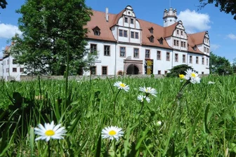 Ferienprogramm: Flaschengeist wird in Glauchau befreit - In der Kinderbibliothek im Schloss Forderglauchau gibt es ein abwechslungsreiches Programm in den Sommerferien. Foto: Wiegand Sturm/Archiv