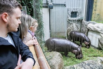 Ferienspaß mit putzigen Tieren -