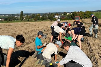 Fest im Vogtland: So ging es nach der Kartoffelernte wie zu Omas Zeiten im Gündels Kulturstall weiter - Kartoffellese wie zu Omas Zeiten - ein Spaß für alle Generationen.