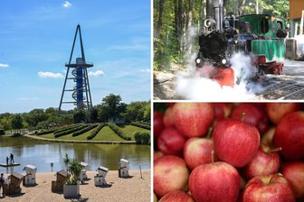 Feste über Feste: Das bietet das Wochenende für Familien, Eisenbahnfans und Abenteuerlustige in und um Chemnitz - Von Riesenrutsche bis Apfelfest: Das Wochenende in und um Chemnitz wird bunt.