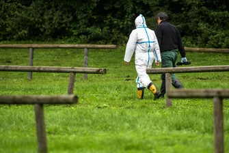 Festnahme nach Fund verkohlter Leiche - Ermittler der Polizei suchten am Dienstag am Fundort einer verkohlten Frauenleiche am Feringasee in Unterföhring ab.