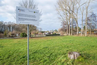 Festplatz soll Freizeit-Oase werden: 290.000 Euro für Freifläche im Erzgebirge - Auf dieser Wiese soll ein Spiel- und Ruhebereich entstehen.