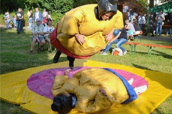 Fete im Park mausert sich in Ellefeld zu Herbstfest - Im Sumoringen konnte man sich im vergangenen Jahr beim Fest im Ellefelder Park ausprobieren. 