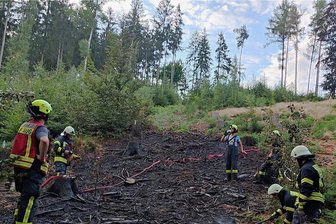 Feuer auf gerodeter Waldfläche in Falkenau - Der Brand brach am Dienstagabend auf einer gerodeten Waldfläche oberhalb des Falkenauer Freibades aus.