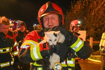 Feuer im Gasthof bei Leisnig: Polizei hat die Brandursache ermittelt - Beim Brand am Gasthof konnten die Feuerwehrleute diese verängstigte Katze aus den Flammen retten und in Sicherheit bringen.