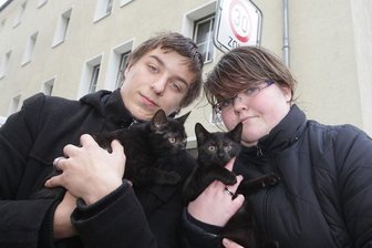 Feuer in Plauener Mehrfamilienhaus: Liebespaar rettet junge Kätzchen - Tommy Behrendt und seine Freundin Mary-Ann Steffan Reichardt sind froh, dass ihren beiden Lieblingen nichts passiert ist: Die zwei Katzen "Joe" und "Maya", gerade zwei Monate alt, überlebten die Unglücks-Nacht.