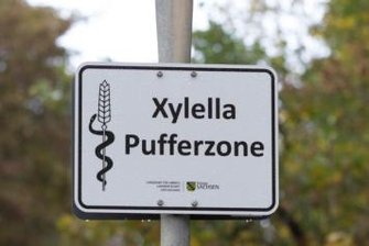 Feuerbakterium: Leichtes Aufatmen im Vogtland - 